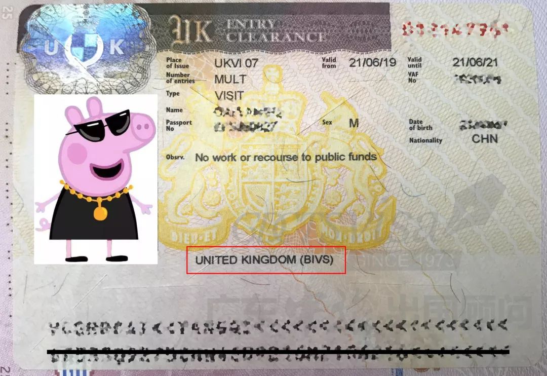 英国签证类型c什么意思(英国签证有哪些类型) 第2张